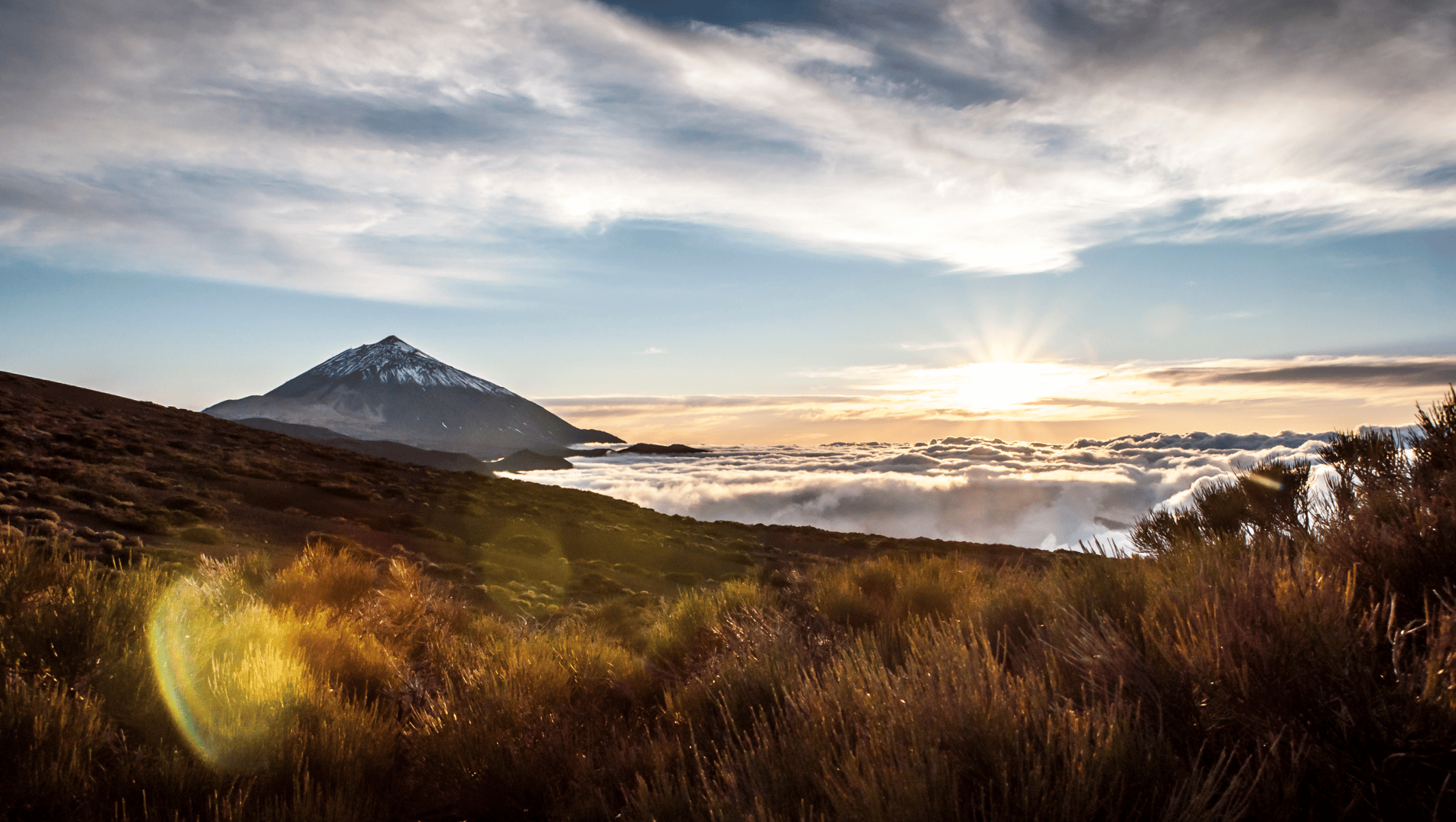 Odkryj Teneryfę z polskim przewodnikiem