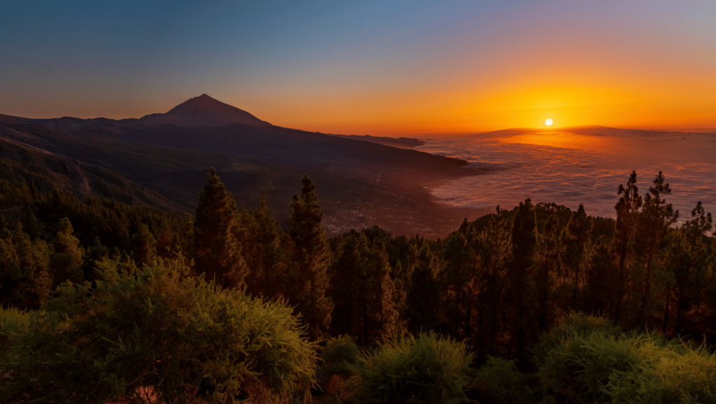 Wycieczka Teide nocą