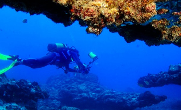 Nurkowanie na Fuerteventura