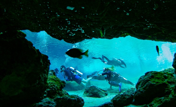 Nurkowanie na Gran Canarii