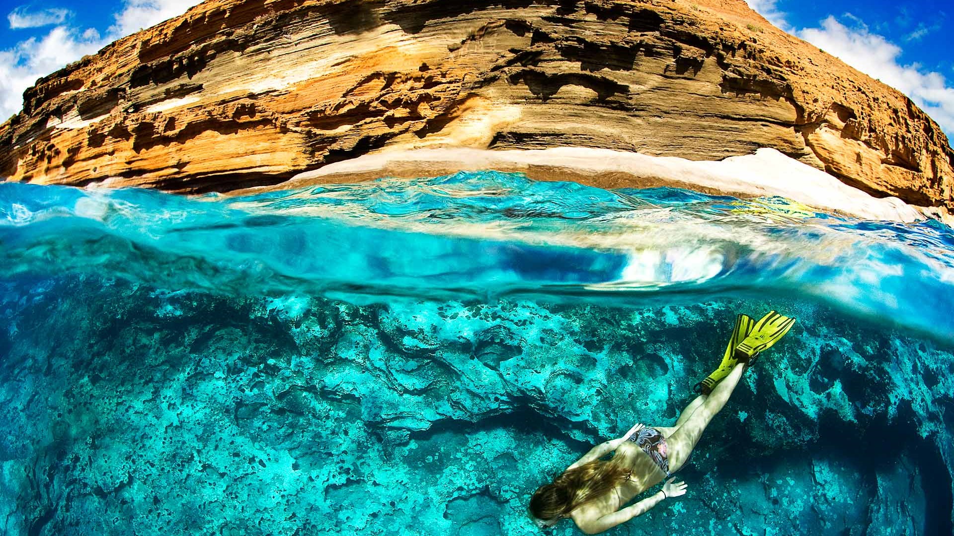 Wycieczka Nurkowanie po polsku - obrazek 3