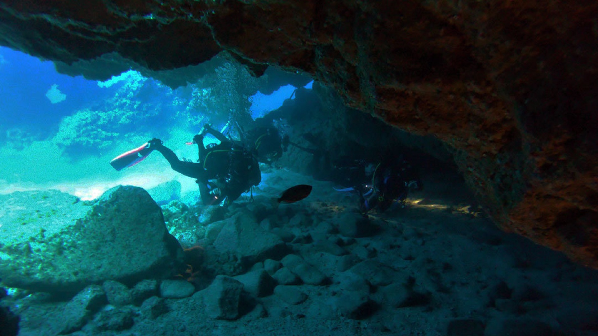 Wycieczka Nurkowanie po polsku - obrazek 7