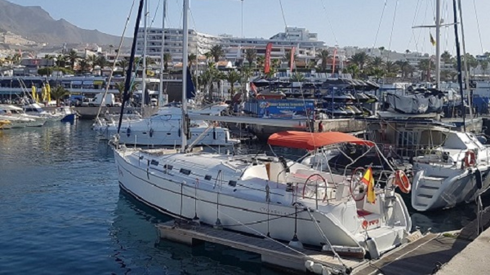 Rejs z Delfinami - obrazek 4