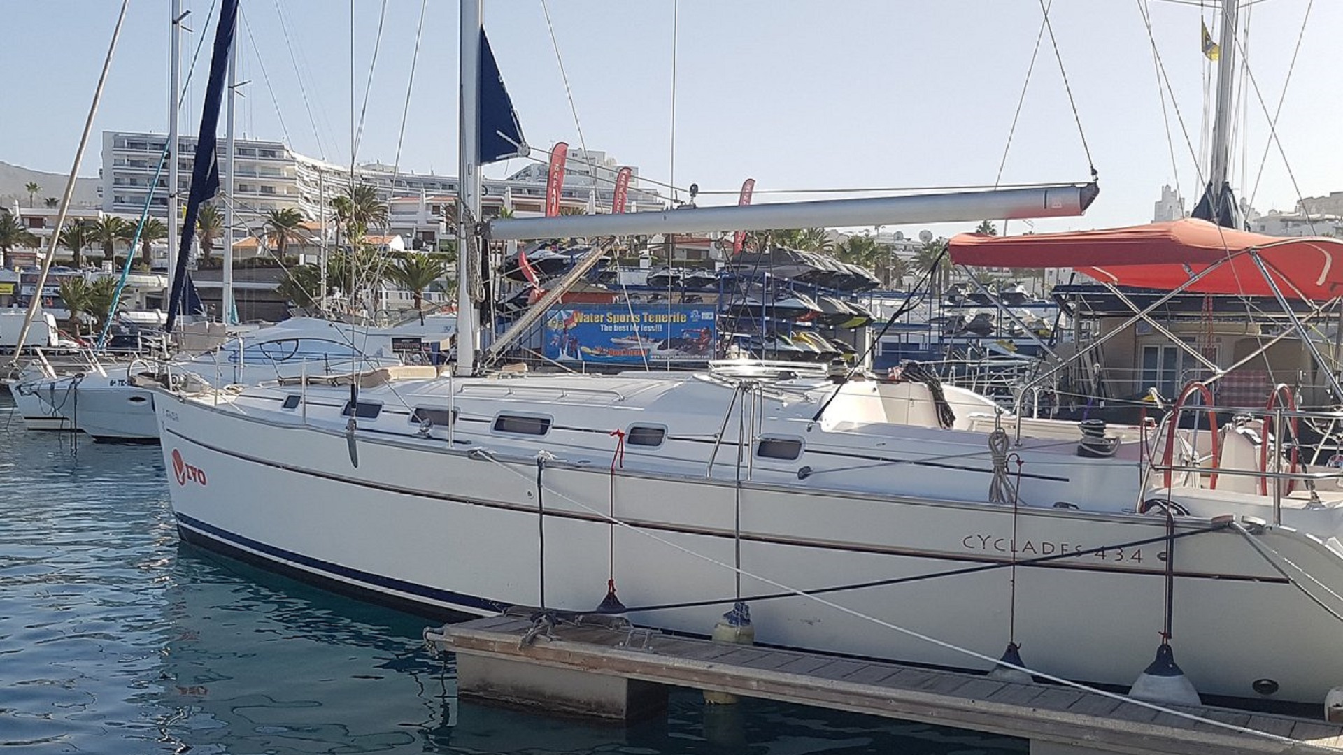 Rejs z Delfinami - obrazek 5