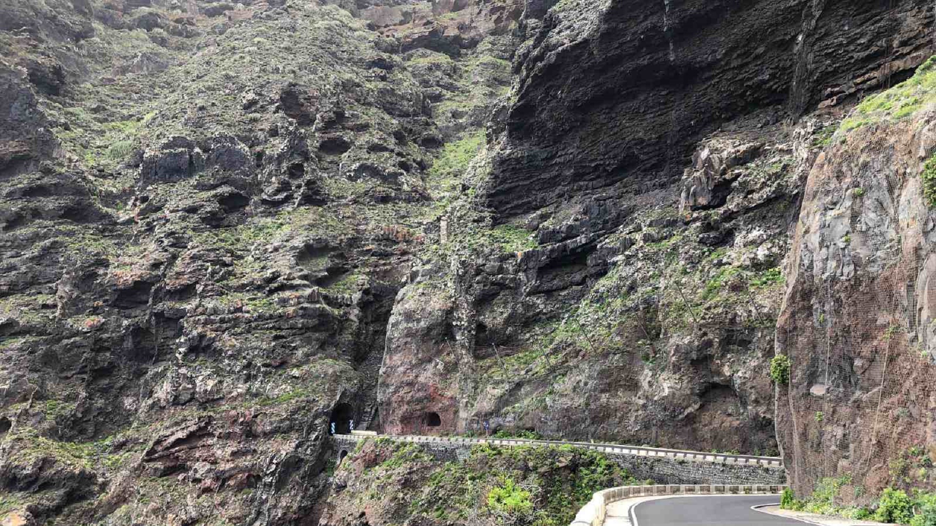 Pakiet 2 wycieczek + rejs z delfinami - obrazek 12