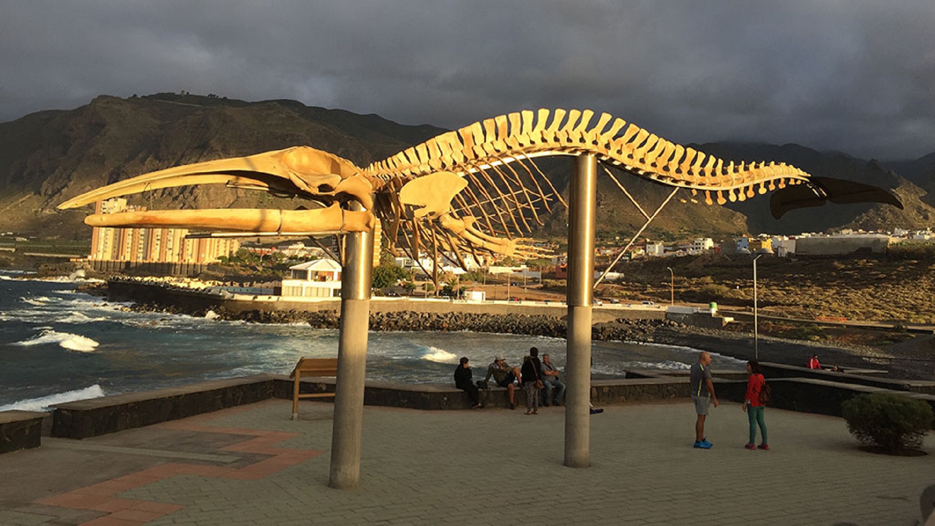 Pakiet 2 wycieczek + rejs z delfinami - obrazek 3