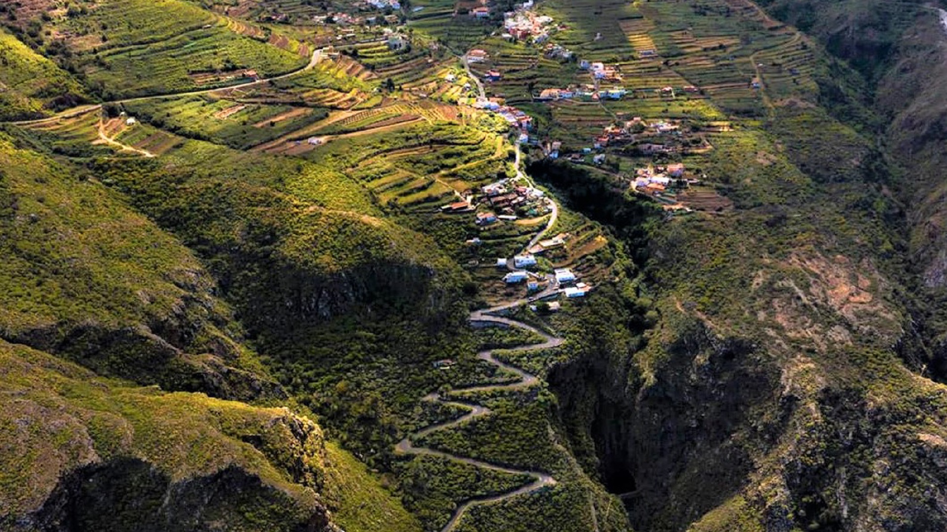 Pakiet 2 wycieczek + rejs z delfinami - obrazek 4