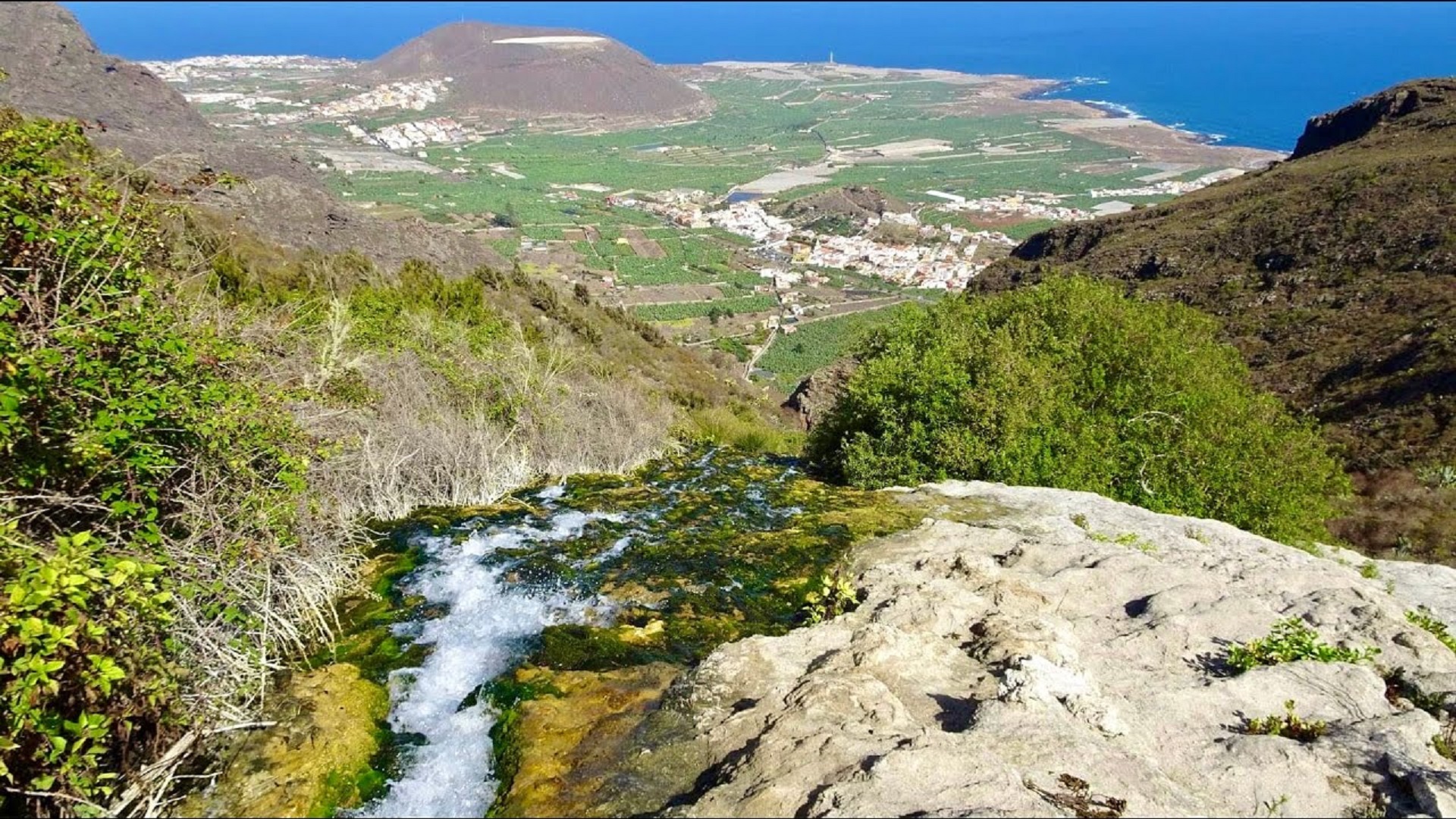 Pakiet 2 wycieczek + rejs z delfinami - obrazek 5