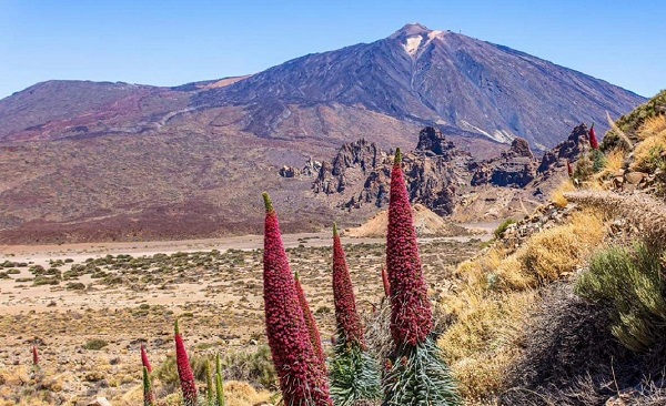 Wycieczki po Teneryfie po Polsku - Must Have