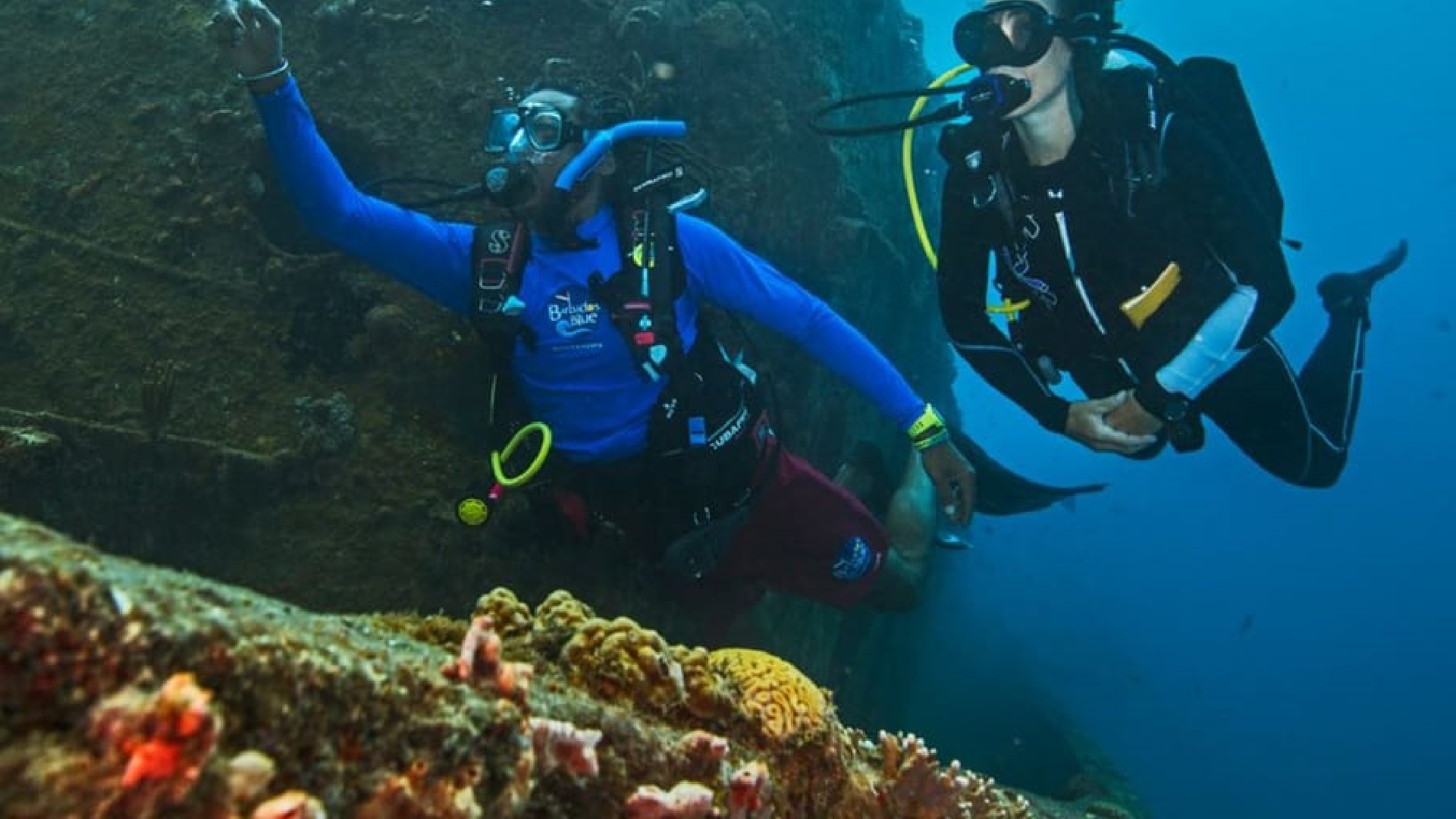 Wycieczka nurkowanie na La Palmie - obrazek 4