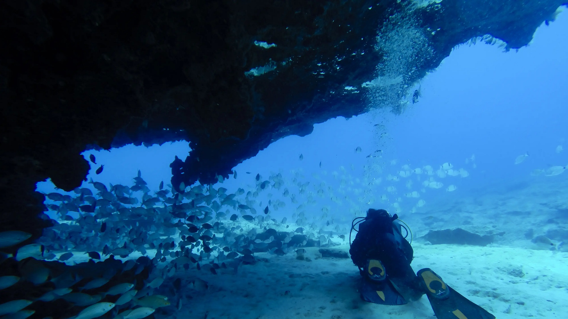 Wycieczka nurkowanie na La Palmie - obrazek 6