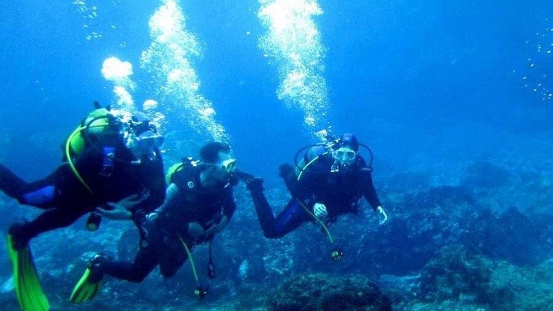 Wycieczka nurkowanie na La Palmie - obrazek 7