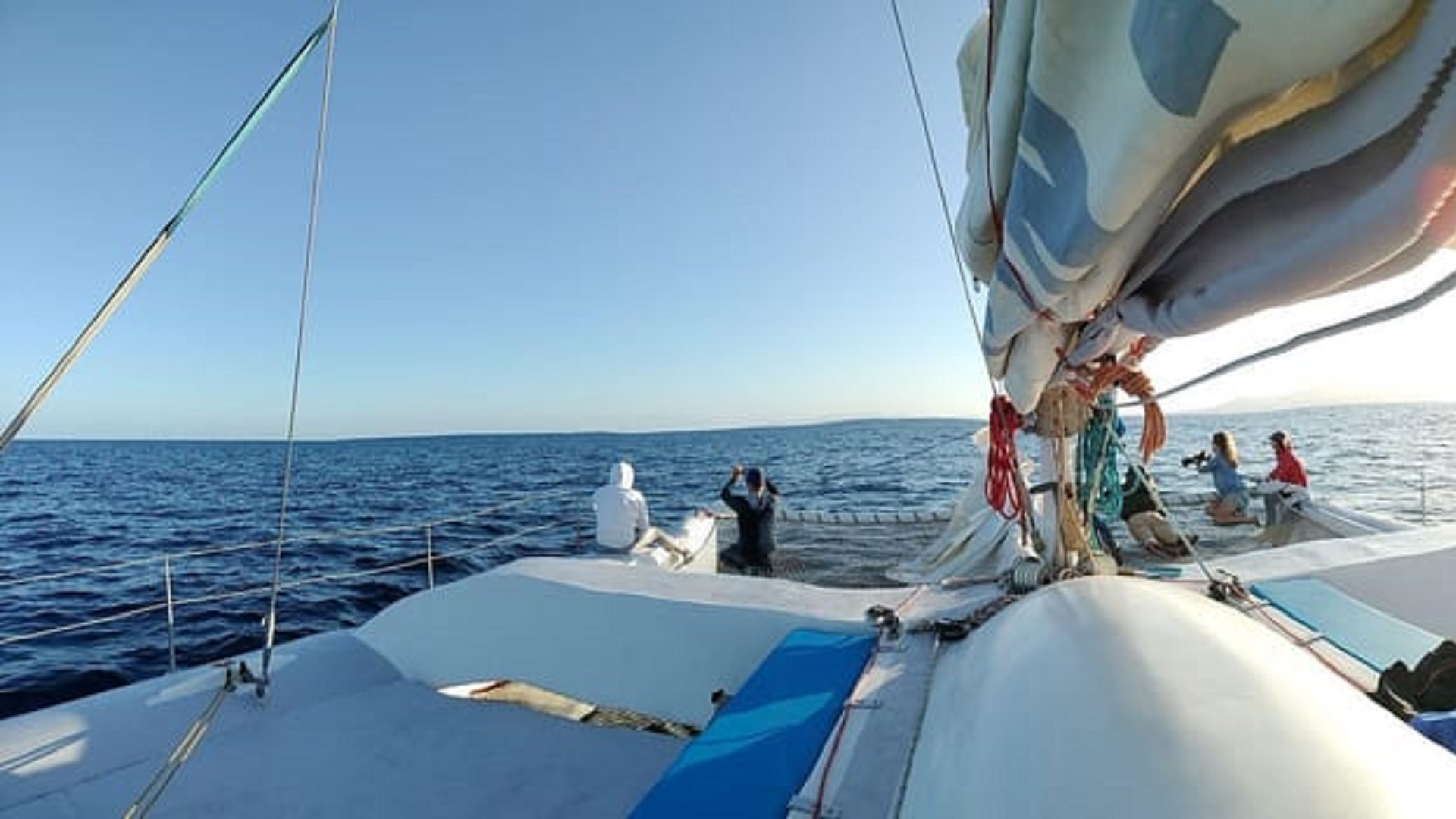 Rejs z Delfinami na Lanzarote - obrazek 7