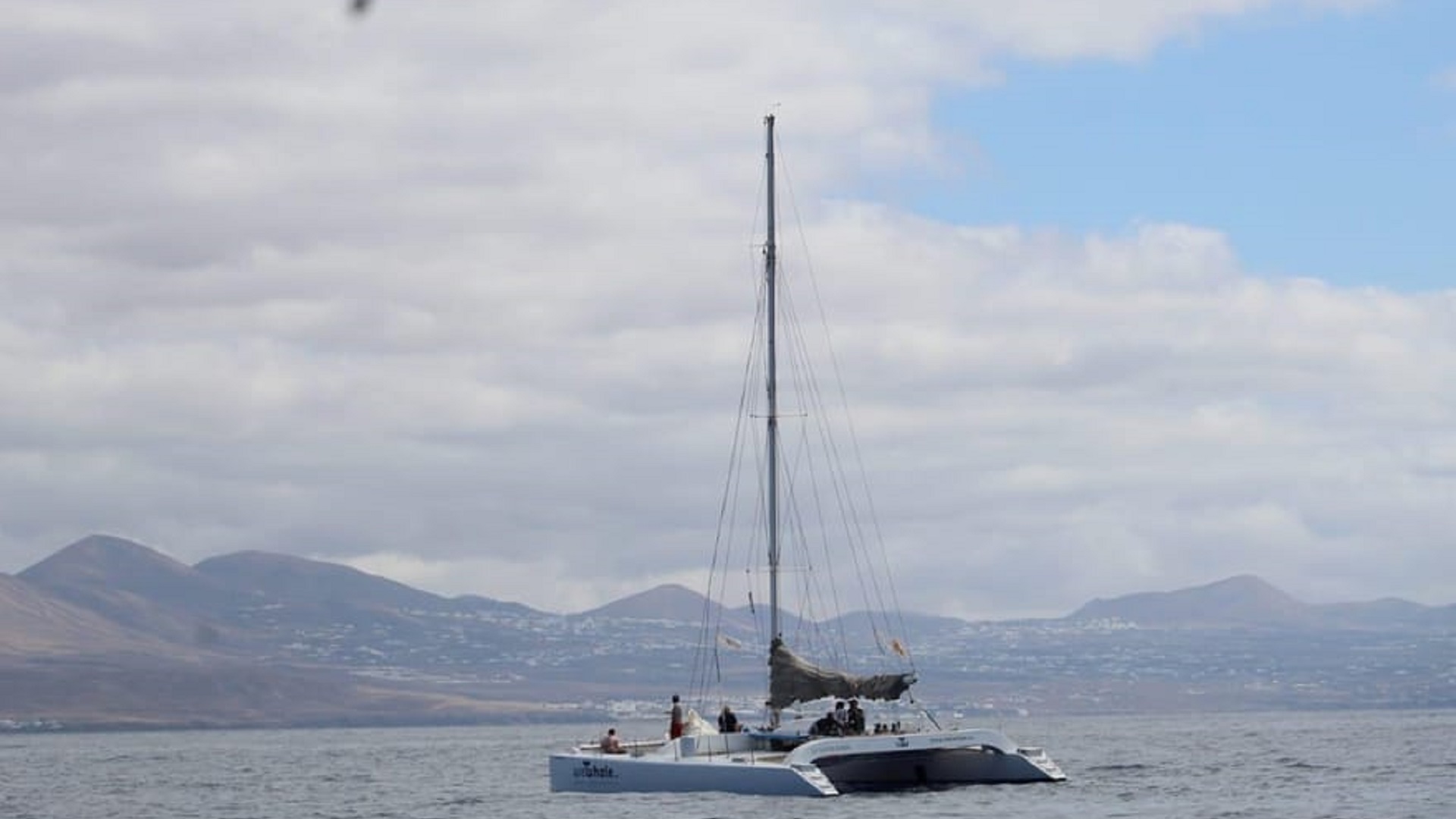 Rejs z Delfinami na Lanzarote - obrazek 8