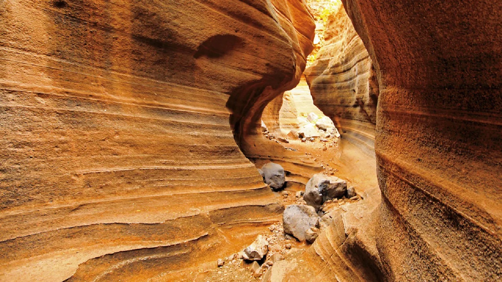 Wycieczka Must Have Gran Canaria - obrazek 15