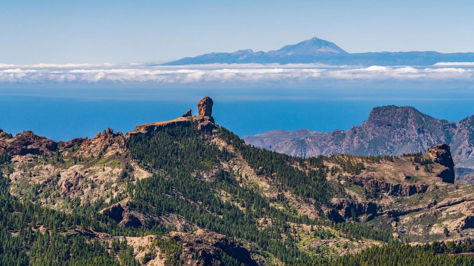 Wycieczka Must Have Gran Canaria - obrazek 5