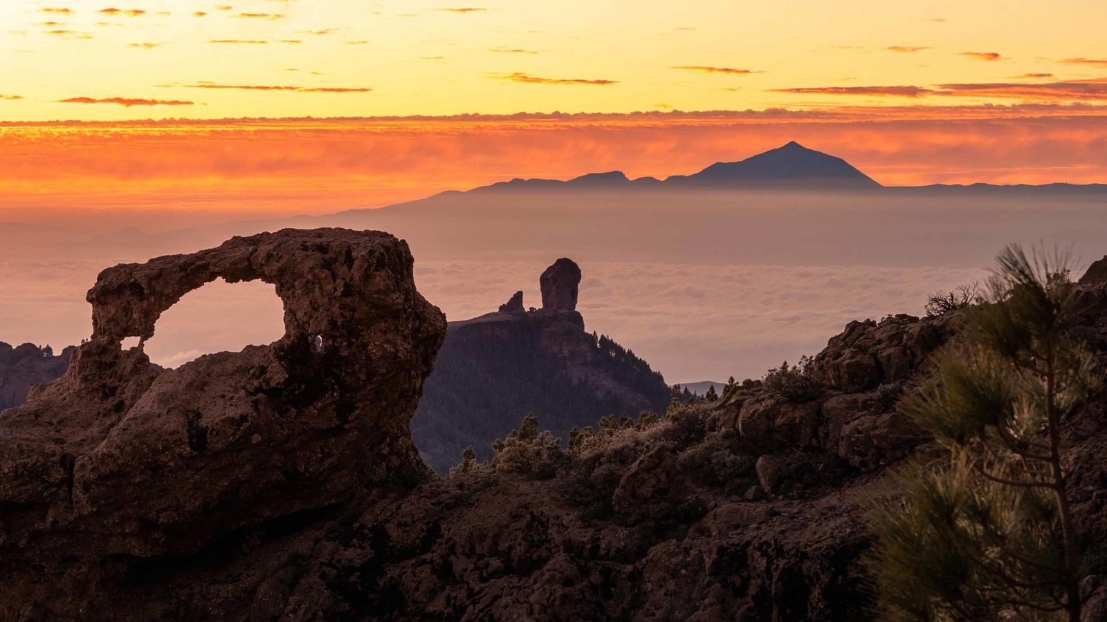 Wycieczka Must Have Gran Canaria - obrazek 6