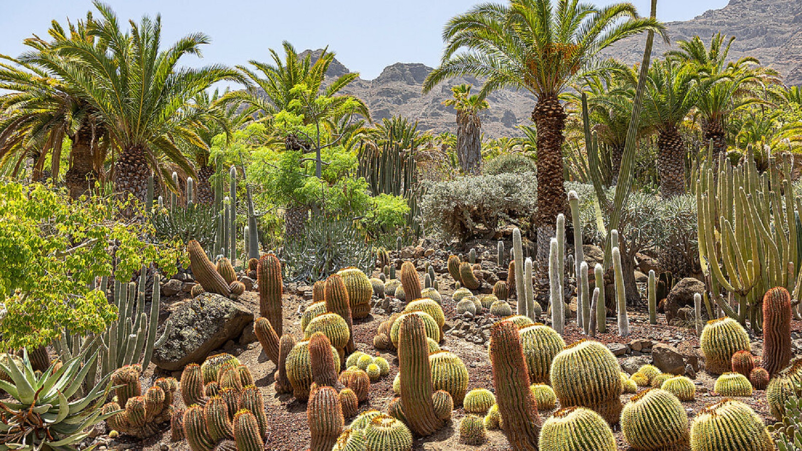 Wycieczka po Gran Canarii Gran Canaria mało znana - obrazek 11