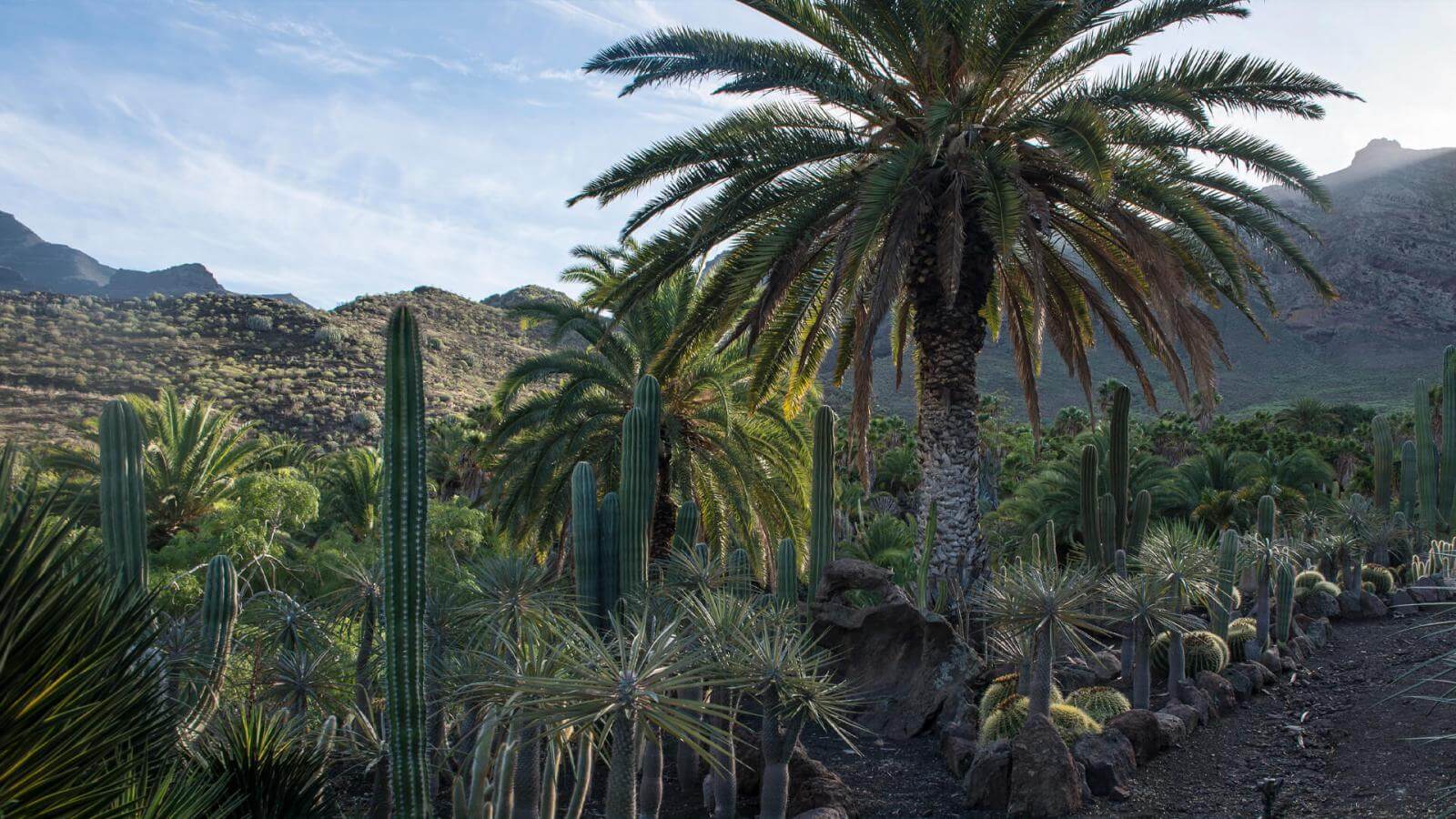 Wycieczka po Gran Canarii Gran Canaria mało znana - obrazek 10