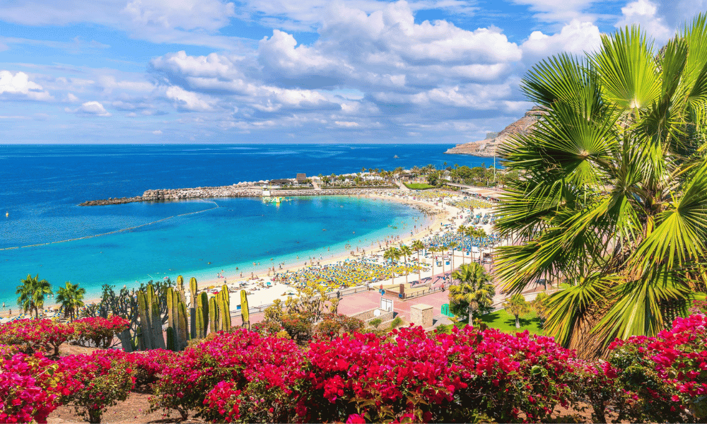 Wycieczki Po Wyspach Kanaryjskich Teneryfa Gran Canaria